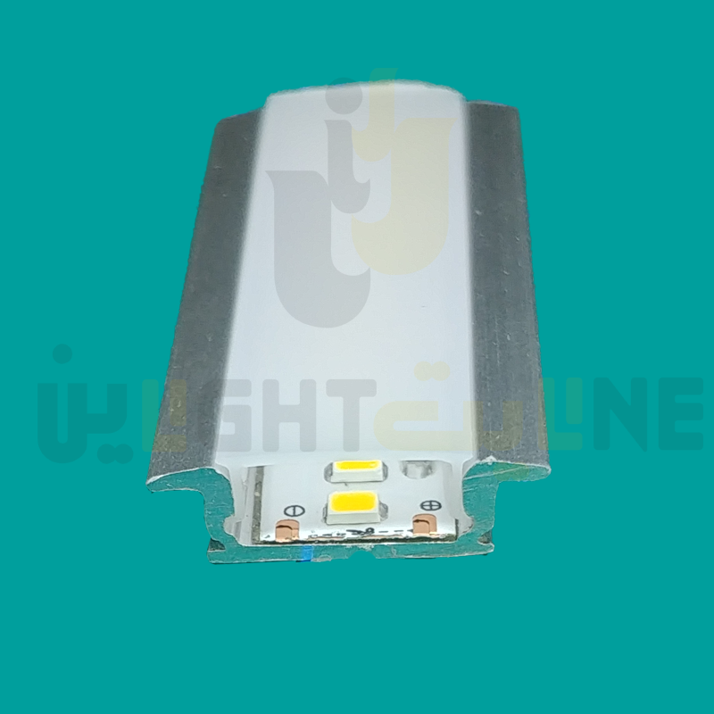 L1