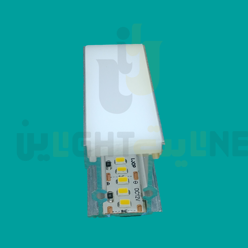 L19
